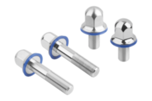 Zeskantschroeven rvs met afdichtring in Hygienic DESIGN Zeskantschroeven rvs met afdichtring in Hygienic DESIGN