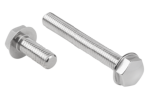 Zeskantschroeven rvs in Hygienic DESIGN